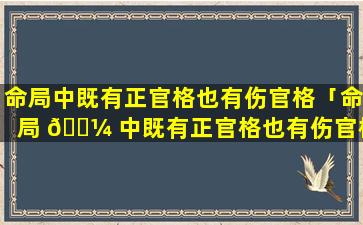 命局中既有正官格也有伤官格「命局 🐼 中既有正官格也有伤官格什么意思」